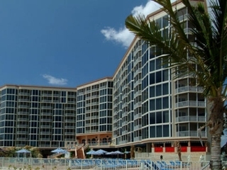 Hotel Pink Shell