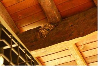 Villa Casa Da Terra - Ger�s