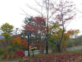 Hostal Country Inn Mori No Gorilla