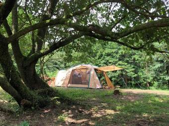 Hostal Fwa Guest House