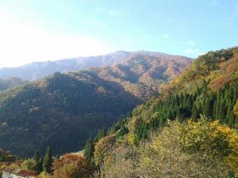 Hachikogen Furusato Asagiriso