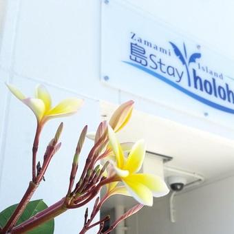 Hostal Shima Stay Holoholo