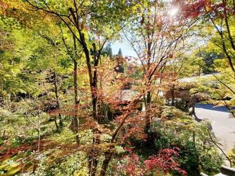 Kurokawa Onsen Oku No Yu
