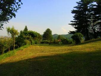 Taiobe - Happy Party House