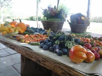 Bed & Breakfast Bio&b Cascina Montebello