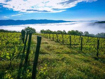 Apartamento Tenuta La Novella