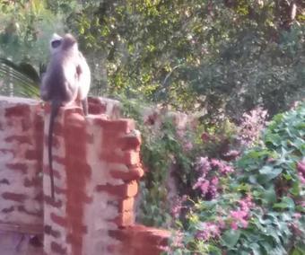 Octandra Eco Lodge