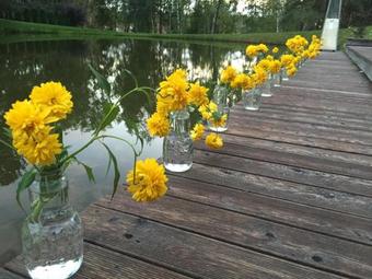 Apartamento Kernav?s Spa Pajauta