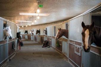 Bed & Breakfast Dubingi? ?irgynas