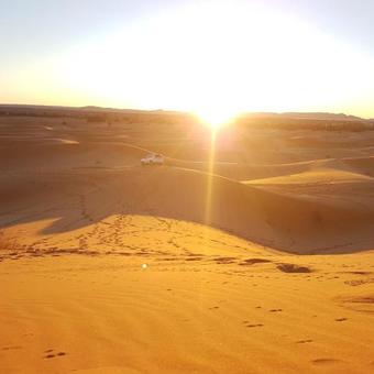 Desert Camp, Camel & Sandboarding