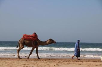 Hostal Single Fin Beach House
