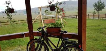 Vacation Home Andjelic