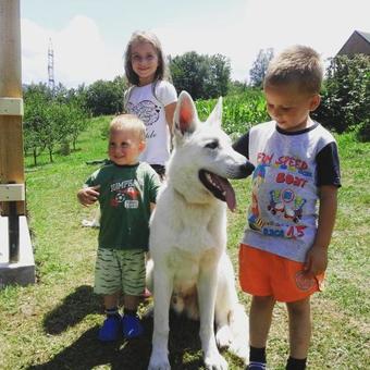 Agroturismo Country House Eco Village ?ori?