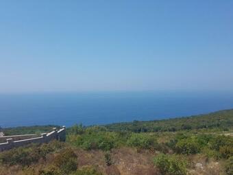 Apartment Vila Mirela