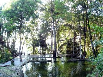 Hotel Permai Rainforest Resort