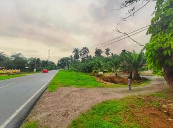 Homestay Selinsing