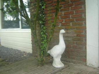 Bed & Breakfast B & B Kostelijk