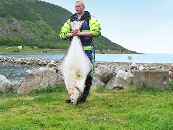 Four-bedroom Holiday Home In Kaldfarnes 3