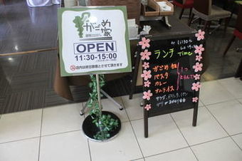 Hakodate Rich Hotel Goryokaku