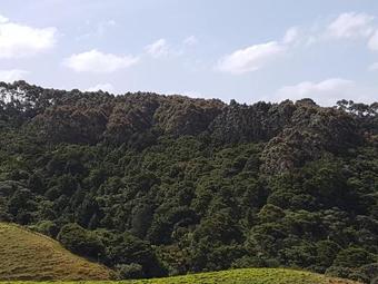 Hostal True North Tutukaka