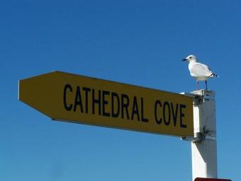 Albergue Tatahi Backpackers