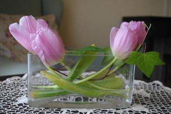 Villa Willa J�zefina