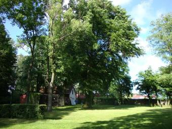 Hostal Zamek Now?cin