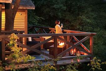 Domy Na Drzewach - Dolina Charlotty