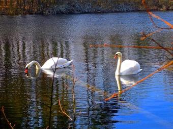 Hostal Dw�r Sosnowo