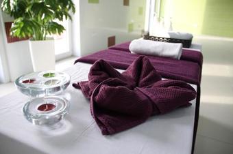 Palace Hotel & Spa Termas Do Bicanho