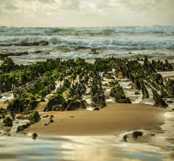 Bed & Breakfast Arrifana Destination Boutique