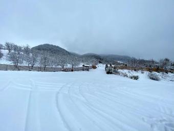 Hostal Korondi Forr�s Panzio