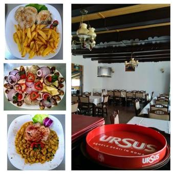 Hostal Pensiune Restaurant La Pogace
