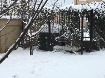 Hostal Casa Irlandeza - Irish House