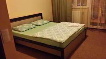 Hostal Pensiunea Alas