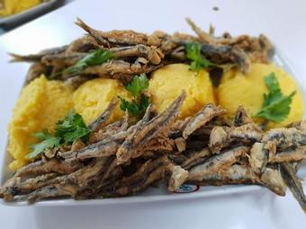 Hotel Top Costinesti