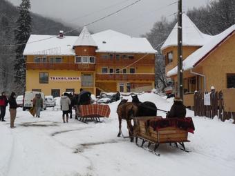 Hostal Vila Transilvania