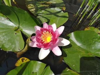 Villa Vintage Luxurious House