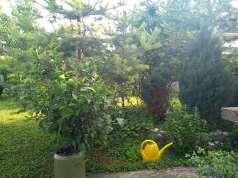 Hostal Guest House Ozon