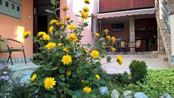 Hostal Guesthouse Stevanovic
