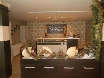 Hotel Milmari Resort
