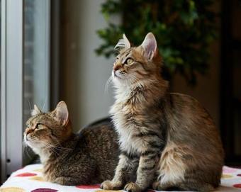 Irkutsk Hostel And Tours