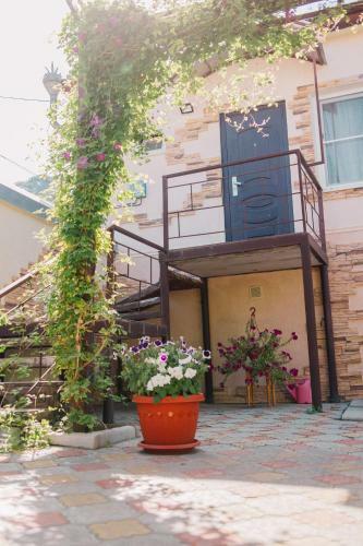 Hostal Guest House On Suvorova