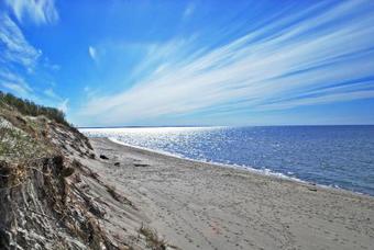 Koenighouse - Villa Forest