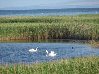 Hostal Guest House Sankt-peterburg