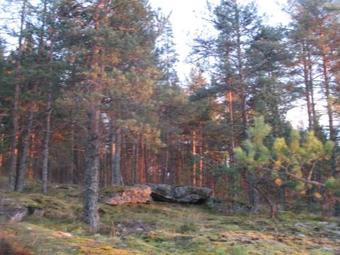 Agroturismo Country House Bungalo Spa