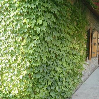 Agroturismo Guest House Na Lenina 73