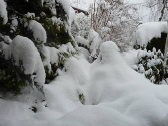 Bed And Breakfast Im R�seligarten