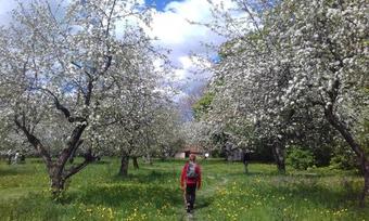 Hostal Vacation House In Yasnaya Polyana