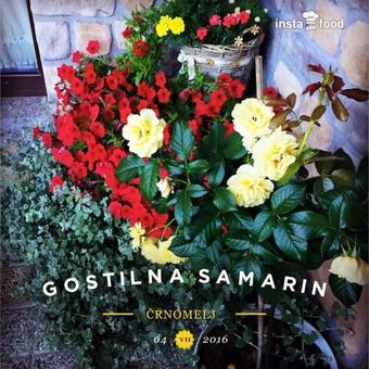 Hostal Gostilna Samarin